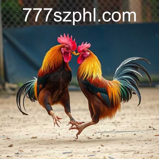 Exploring the World of Online Sabong: An In-Depth Look at 777sz